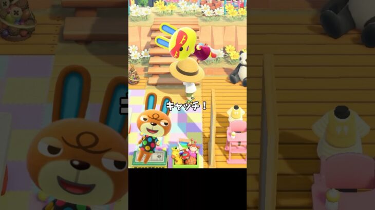 【実況】あつ森のなんちゃってミニゲームを実況してみた funny video #あつ森 #ききゆん 【嬉々桜ゆん】