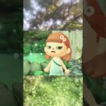 フェアリーコアコーデ🧚‍♂️⟡.*#あつ森#フェアリーコア#コーデ#fyp