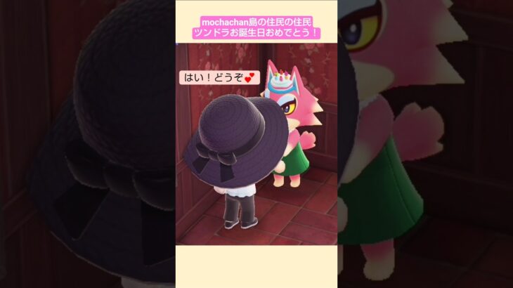 【あつ森】ツンドラお誕生日おめでとう@たーさんの趣味の部屋 #mochachan島 #shorts