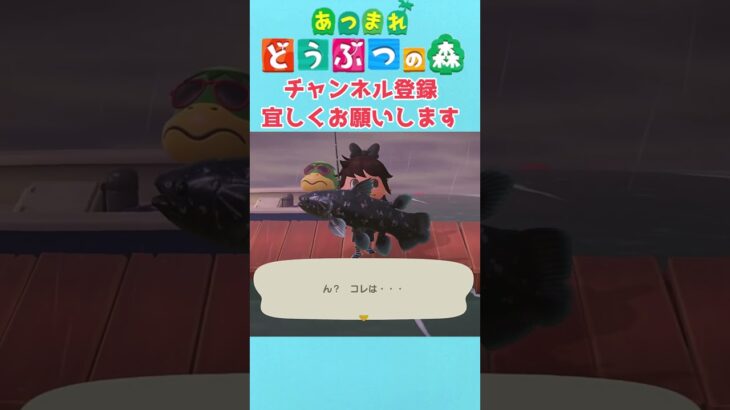 あつ森　レア魚チャレンジ　 #shoot　#あつ森　#あつもり　#あつまれどうぶつの森　 #ゲーム実況　#AnimalCrossing