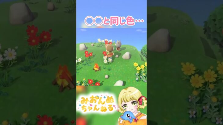 ◯◯と同じ色だよ！！ #みおんぬ #short #あつ森 #あつまれどうぶつの森