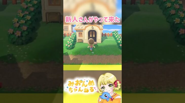 新人さんがやってきましたー！！ #みおんぬ #short #あつ森 #あつまれどうぶつの森