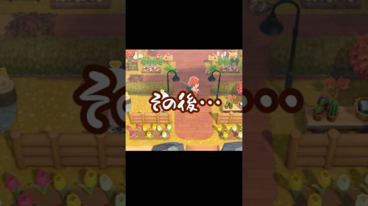 報われたサンクスギビングデー🐟【あつ森】#shorts #あつ森#ゲーム実況
