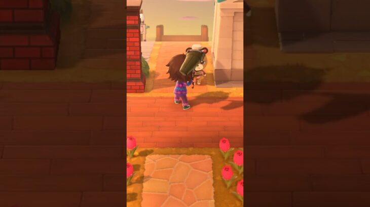 【あつ森】メイちゃんごめんね。　#shorts #あつ森