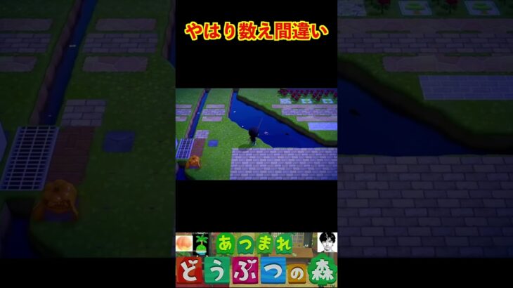 やはり数え間違い #あつまれどうぶつの森 #shorts #あつ森