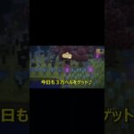あつ森投資家！今日も３万ベルをゲット♪…  億り人への道… ～増やす力～   #あつ森 #shorts #資産形成 #あつまれどうぶつの森 #くまのてと