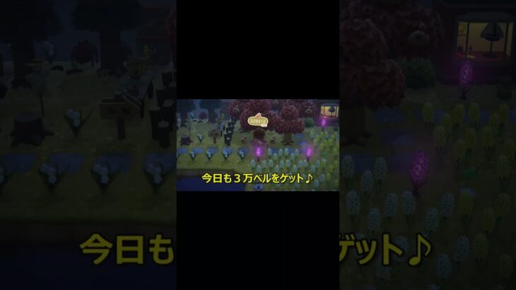 あつ森投資家！今日も３万ベルをゲット♪…  億り人への道… ～増やす力～   #あつ森 #shorts #資産形成 #あつまれどうぶつの森 #くまのてと