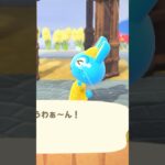 【あつ森】たとえ雨の日でも、プースケを網で叩きます★ #shorts #あつ森