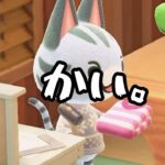 【あつ森】いや買ったんかい。#shorts  #あつ森 #あつまれどうぶつの森 #ゲーム実況