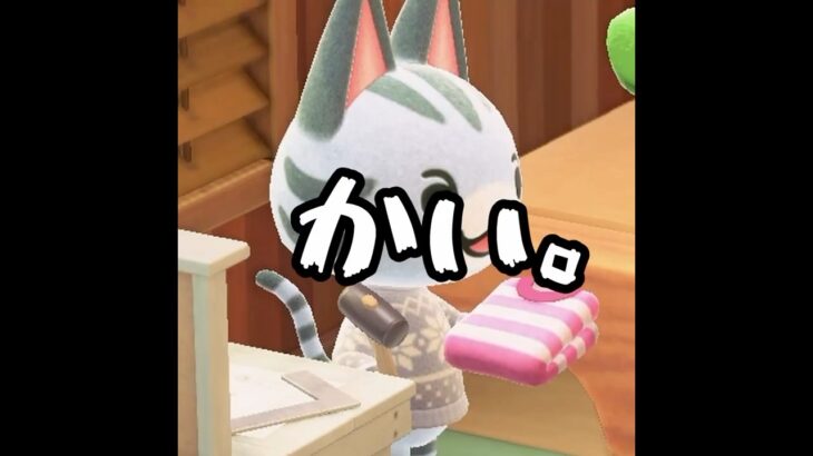 【あつ森】いや買ったんかい。#shorts  #あつ森 #あつまれどうぶつの森 #ゲーム実況