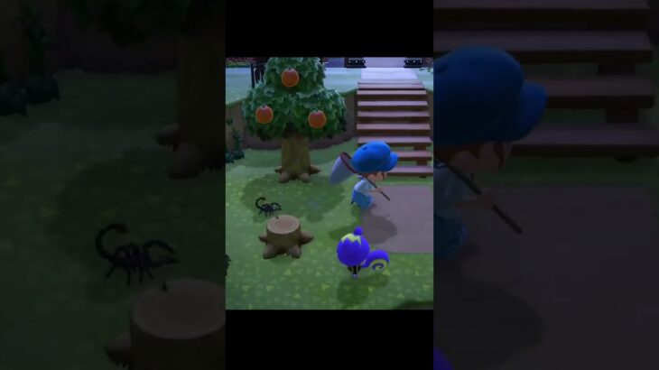 【あつ森】情報過多  #shorts  #あつ森 #あつまれどうぶつの森