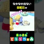金鉱石はやっぱりレアやなぁ～! #あつ森  #shorts #けいとかんな