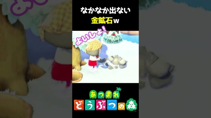 金鉱石はやっぱりレアやなぁ～! #あつ森  #shorts #けいとかんな