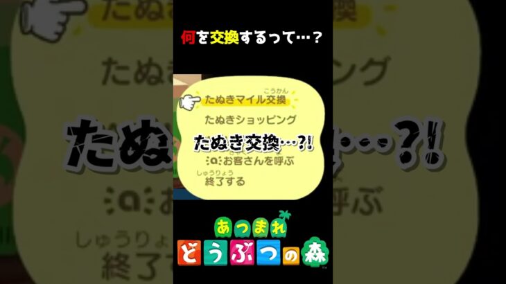 ん？何を交換するって言った…？ #あつ森  #shorts #けいとかんな