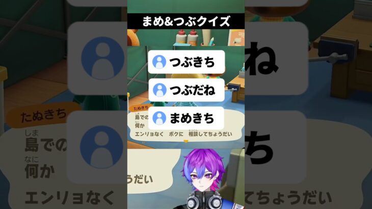 まめきち&つぶきちの見分け方 #shorts #あつ森