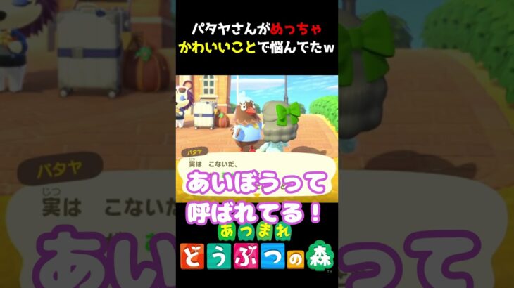 パタヤさんの悩みがめっちゃ可愛かったｗｗｗ #あつ森  #shorts #けいとかんな