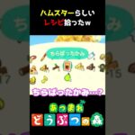 ハムスターはこういうの大好きよね～ｗ #あつ森  #shorts #けいとかんな