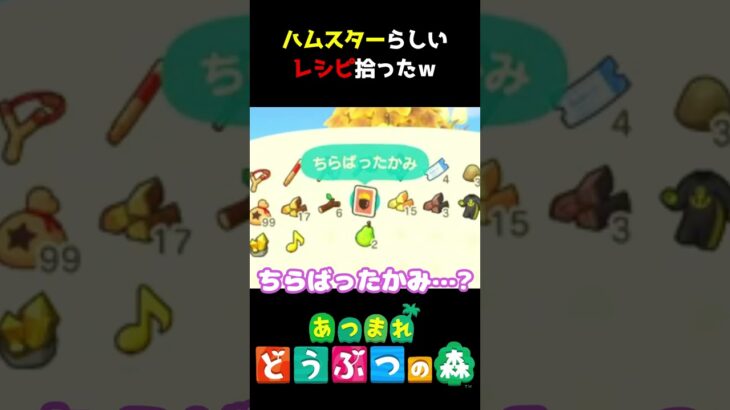 ハムスターはこういうの大好きよね～ｗ #あつ森  #shorts #けいとかんな