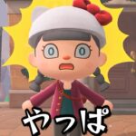 【あつ森】初雪がキターー！！みんなの様子は・・？！#shorts  #あつ森 #あつまれどうぶつの森 #ゲーム実