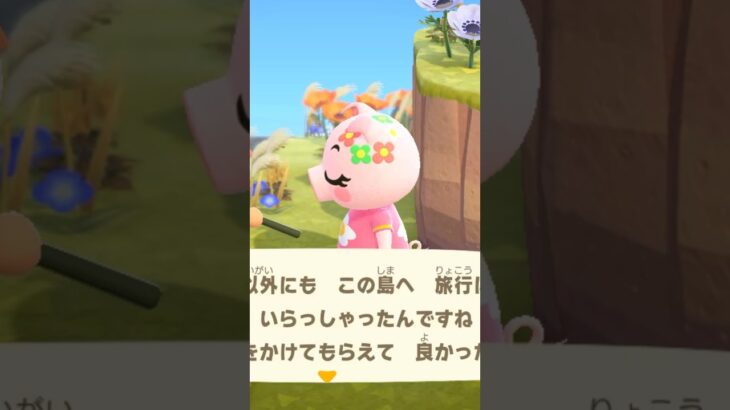 【あつ森】久しぶりにためこに出会った！笑　#shorts #あつ森