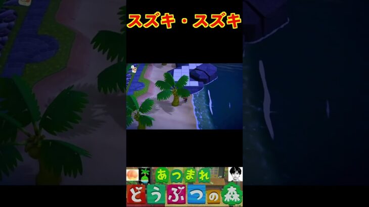 スズキ・スズキ #あつまれどうぶつの森 #shorts #あつ森