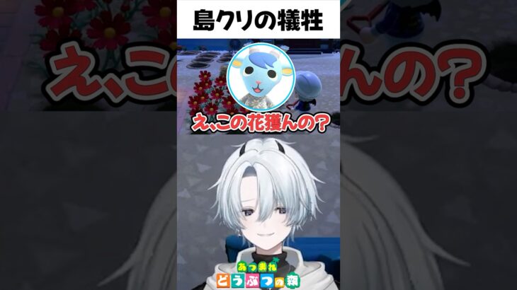 島クリの犠牲 #あつ森 #shorts #あつまれどうぶつの森