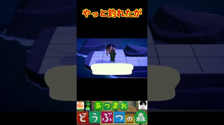 やっと釣れたが #あつまれどうぶつの森 #shorts #あつ森