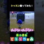 ドッスンこわこわｗｗｗ #あつ森  #shorts #けいとかんな