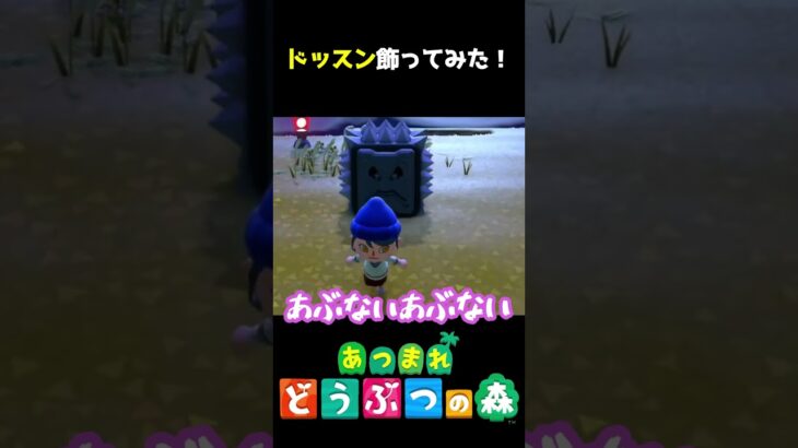 ドッスンこわこわｗｗｗ #あつ森  #shorts #けいとかんな