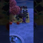 【あつ森】スコップで果物を叩くと、割れる説。　#shorts #あつ森