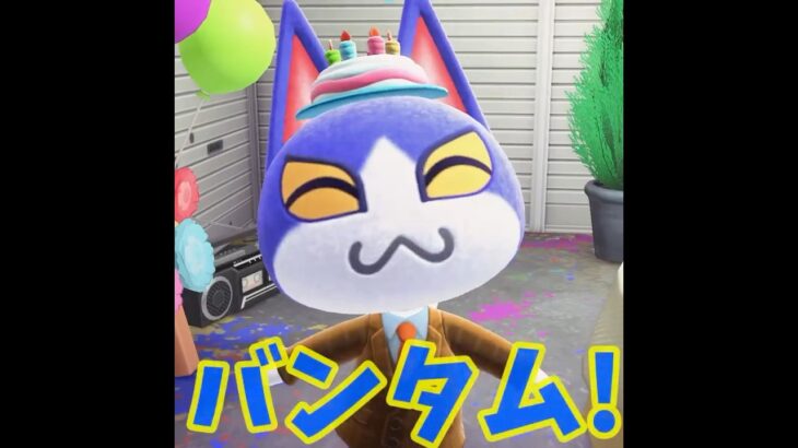 【あつ森】１２月の誕生日ボーイは・・・？？ #shorts #あつ森 #あつまれどうぶつの森 #ゲーム実況