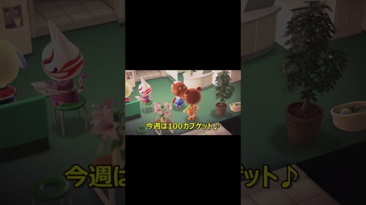 あつ森投資家！カブをもらう♪…  億り人への道… ～増やす力～   #あつ森 #shorts #資産形成 #あつまれどうぶつの森 #くまのてと #ゲーム