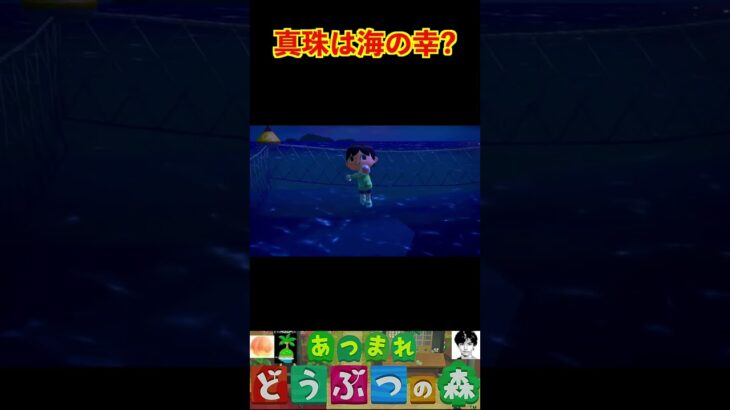 真珠は海の幸? #あつまれどうぶつの森 #shorts #あつ森