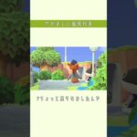 【あつ森】首突っ込みたいところをぐっと堪えて。#shorts #あつ森