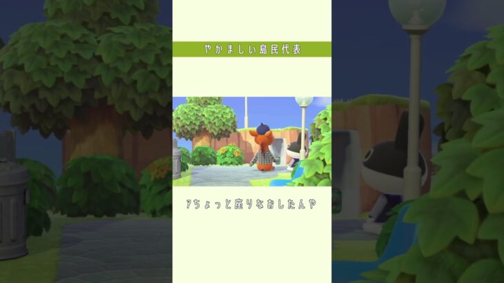 【あつ森】首突っ込みたいところをぐっと堪えて。#shorts #あつ森