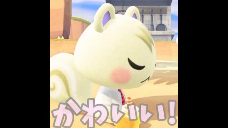 【あつ森】探し物の際中に、かわいい生き物が・・！！#shorts  #あつ森 #あつまれどうぶつの森 #ゲーム実況