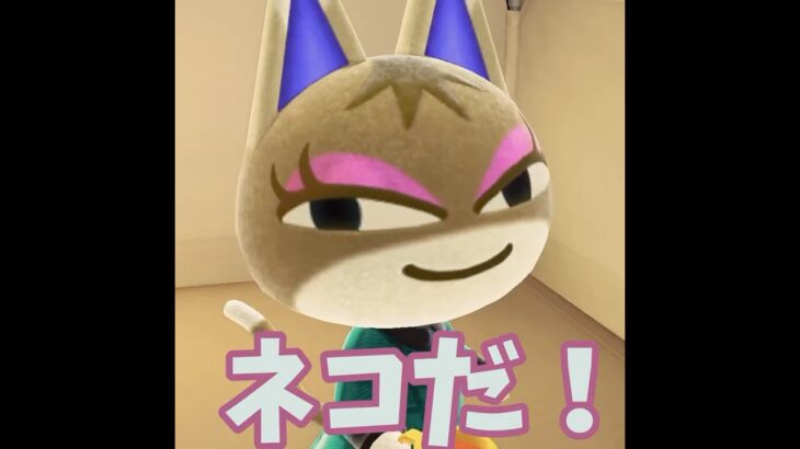 【あつ森】ネコが優しすぎて・・(泣) #shorts #あつ森 #あつまれどうぶつの森 #ゲーム実況