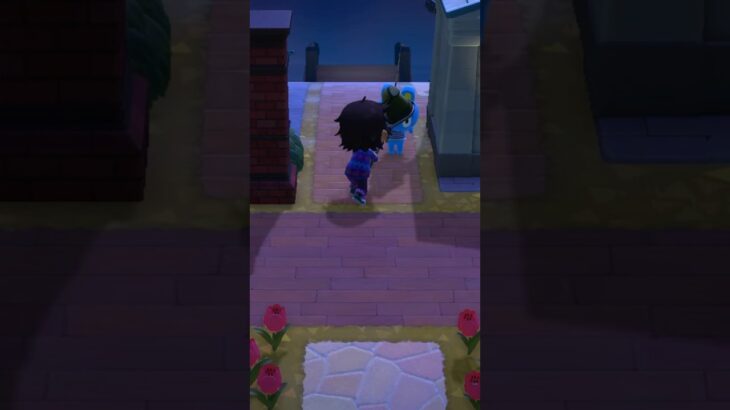 【あつ森】プースケは優しいから、網で叩いても怒りません♡ #shorts #あつ森