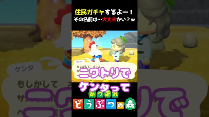 ニワトリでその名前はヤバイｗｗｗ #あつ森  #shorts #けいとかんな