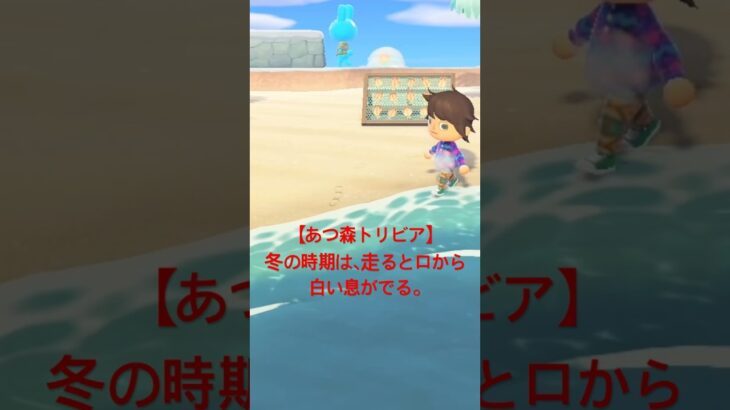 【あつ森】【トリビア】冬の時期に走ると、住民から白い息が出るよ。#shorts #あつ森