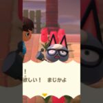 【あつ森】ジャックを落とし穴に落としてみた。　#shorts #あつ森