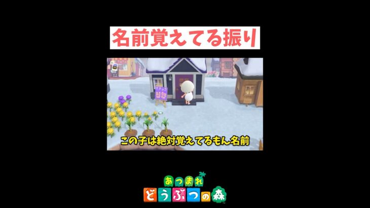 名前覚えてたはず…🤔💭あつ森#shorts