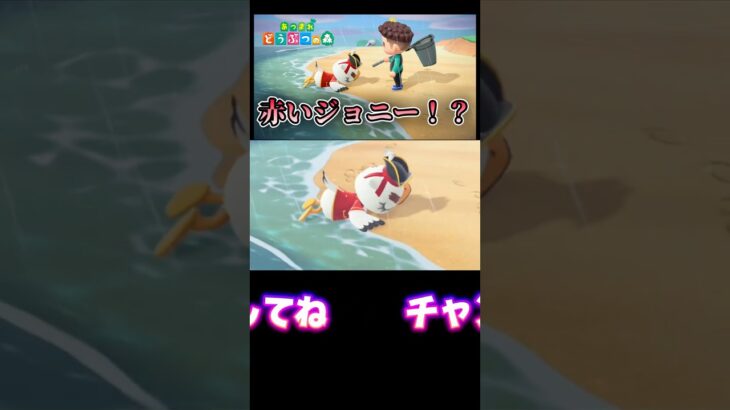 赤ジョニー発見！【あつ森】【あつまれどうぶつの森】 #あつ森 #あつまれどうぶつの森 #どうぶつの森 #ゲーム実況 #ゲーム #shorts