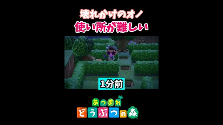 絶対に書いてなかった🐰あつ森#shorts