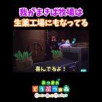 まきば牧場は今日も平和です🐮あつ森#shorts