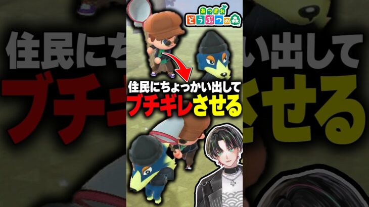 住民で遊んでブチギレさせてみた #あつ森 #あつまれどうぶつの森  #shorts