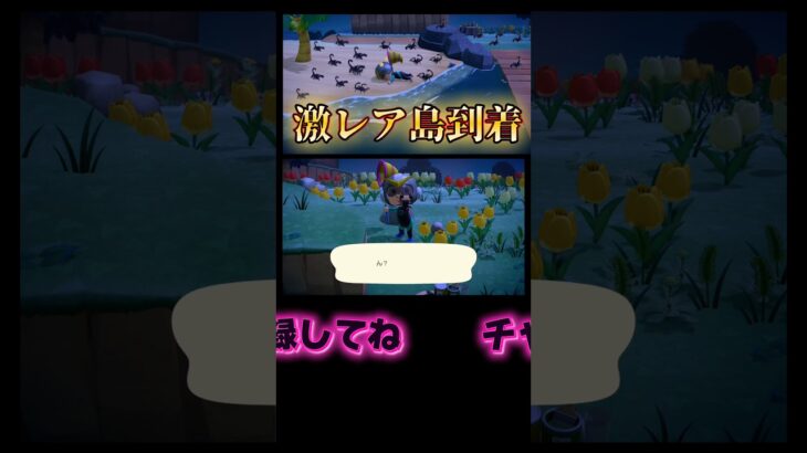 激レア島到着〜【あつ森】【あつまれどうぶつの森】#あつまれどうぶつの森 #あつ森 #どうぶつの森 #ゲーム #ゲーム実況 #shorts