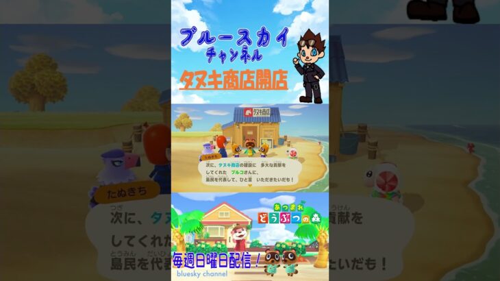 [あつ森]サブ島 タヌキ商店開店 #shorts