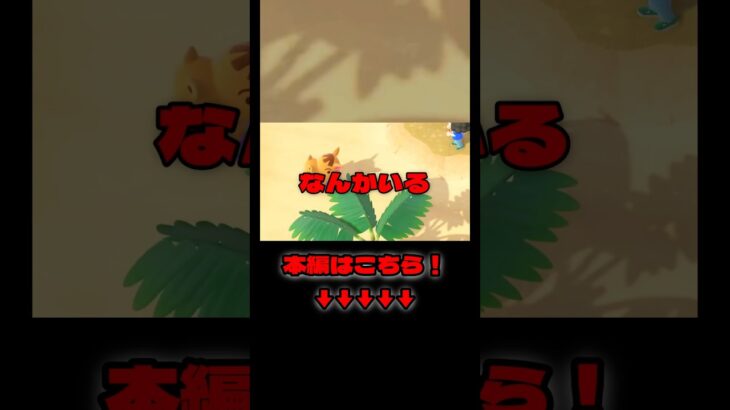 これ住民厳選ってやつか…？【あつ森】#あつまれどうぶつの森 #あつ森 #ゲーム実況 #shorts