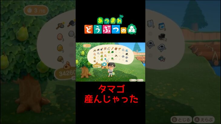 あつ森のおもひで　#shorts